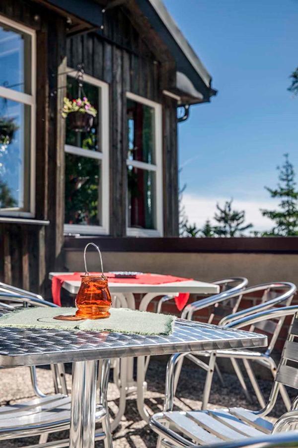 Pension Und Gaststaette Naturbaude Eschenhof Oberwiesenthal Zewnętrze zdjęcie